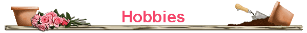 Hobbies